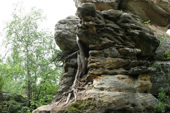 Фотография Каменный Город 92