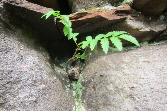 Фотография Каменный Город 80