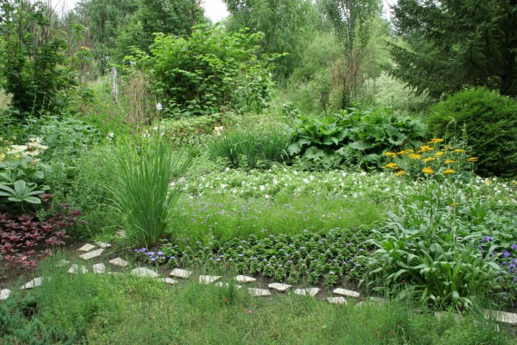 Фотография Ботанический сад им.Г.Демидова 12