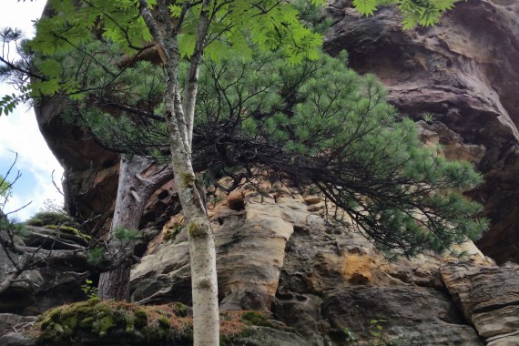 Фотография Каменный Город 19