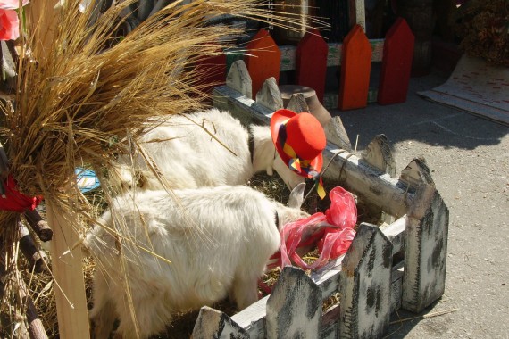 Фотография Фестиваль «Пир на весь мир» 22