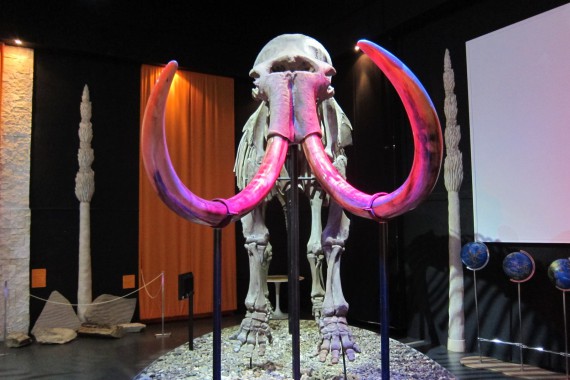 Фотография Музей пермских древностей 0