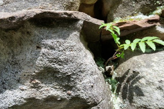 Фотография Каменный Город 23