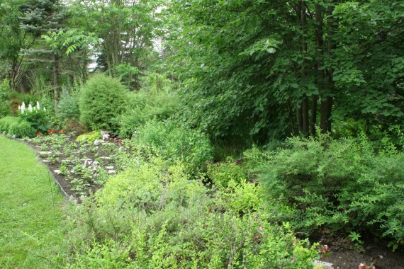 Фотография Ботанический сад им.Г.Демидова 10