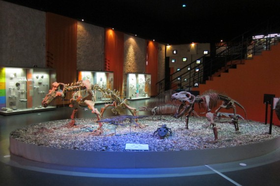 Фотография Музей пермских древностей 6