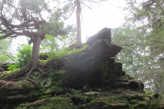 Фотография Каменный Город 33