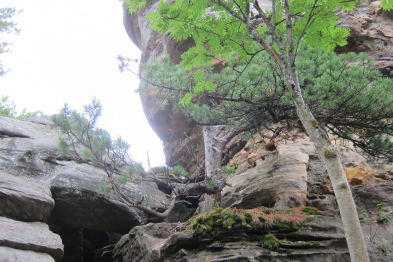 Фотография Каменный Город 68