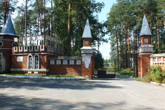 Фотография ЛОК «Лесная сказка» 0