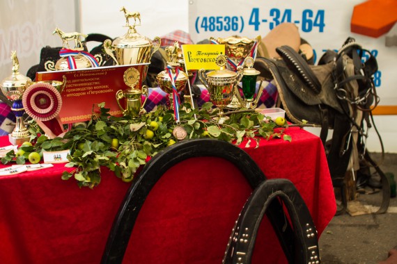 Фотография Фестиваль «Лукова Ярмонка» 2015 16