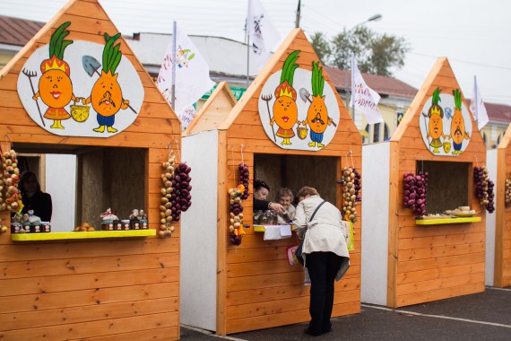 Фотография Фестиваль «Лукова Ярмонка» 2015 19