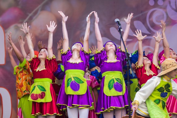 Фотография Фестиваль «Лукова Ярмонка» 2015 28