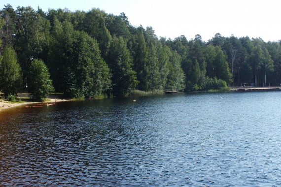 Фотография ЛОК «Лесная сказка» 6