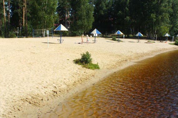 Фотография ЛОК «Лесная сказка» 5