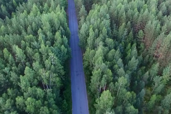 Фотография ЛОК «Лесная сказка» 12