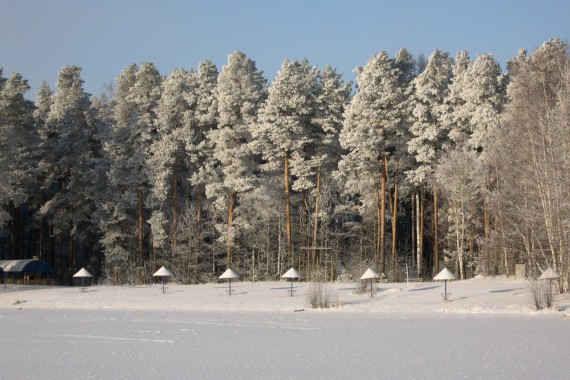 Фотография ЛОК «Лесная сказка» 21