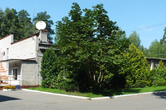 Фотография ЛОК «Лесная сказка» 4