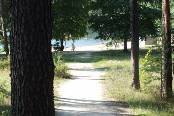 Фотография ЛОК «Лесная сказка» 9