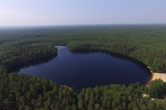 Фотография ЛОК «Лесная сказка» 11