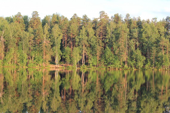 Фотография ЛОК «Лесная сказка» 13