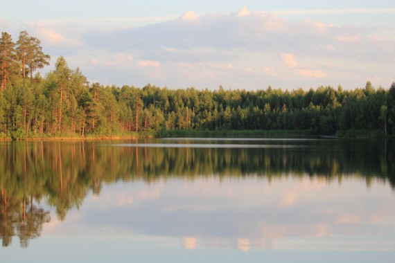 Фотография ЛОК «Лесная сказка» 14