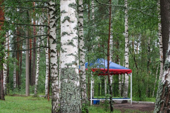 Фотография ЛОК «Лесная сказка» 8