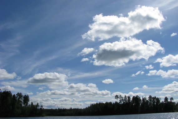 Фотография ЛОК «Лесная сказка» 10