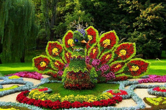 Фотография Фестиваль «Императорские сады России» 2015 0