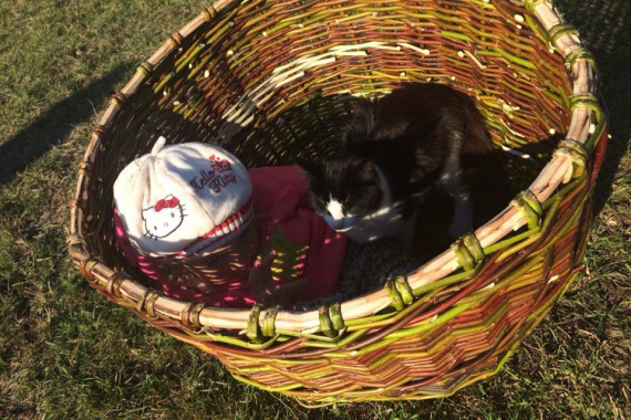 Фотография ЭКТК «Деревня Тыгыдым» 6