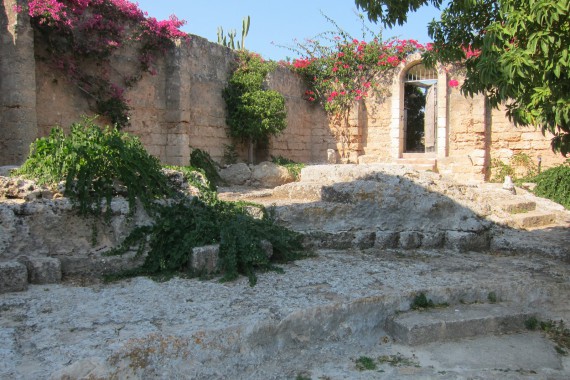 Фотография Массерия «Монтенаполеоне» 34