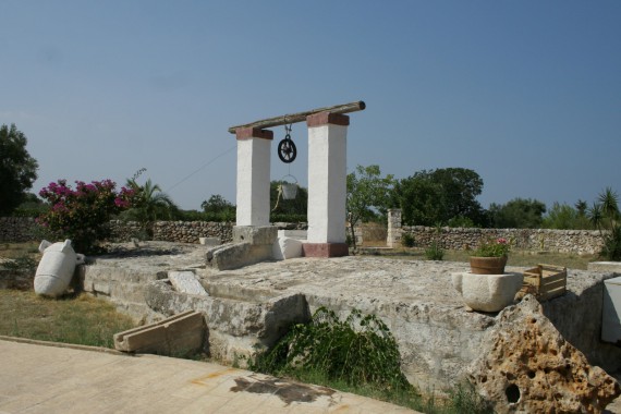 Фотография Массерия «Монтенаполеоне» 37