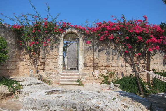 Фотография Массерия «Монтенаполеоне» 31