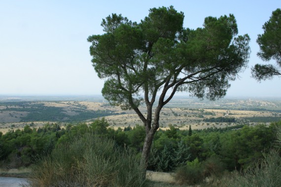 Фотография Замок Кастель-дель-Монте 12