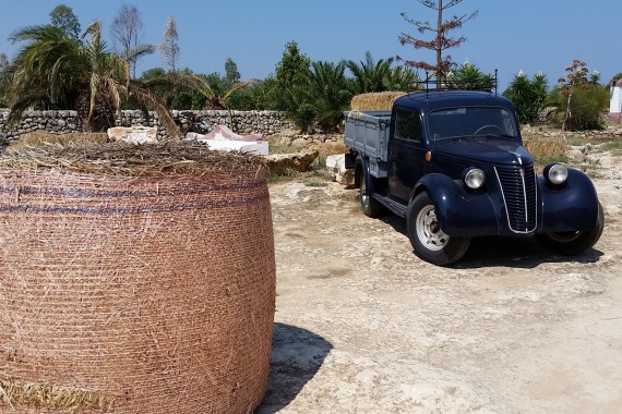 Фотография Массерия «Монтенаполеоне» 5