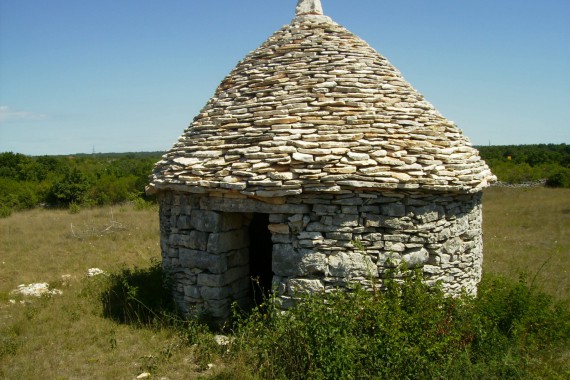 Фотография Кажун 0