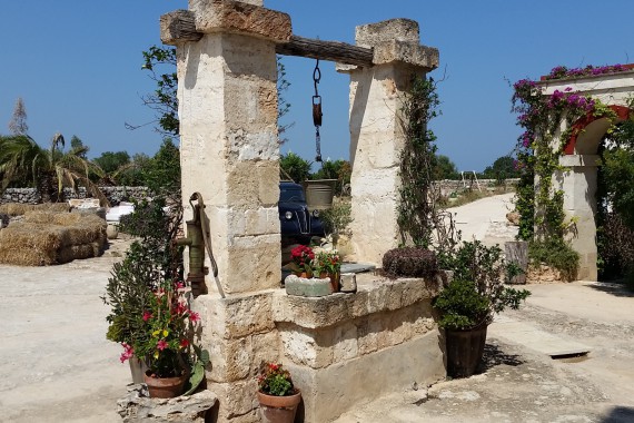 Фотография Массерия «Монтенаполеоне» 3