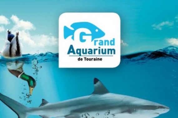 Фотография Аквариум 0