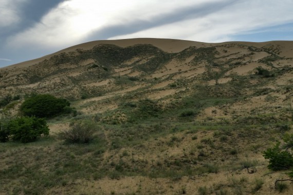 Фотография Заповедник «Дагестанский» 10