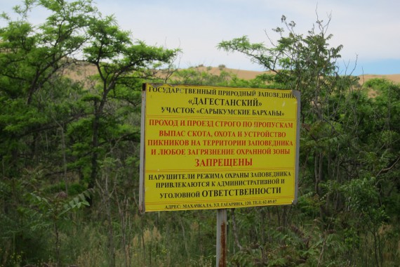 Фотография Заповедник «Дагестанский» 2