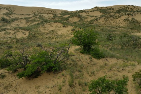 Фотография Заповедник «Дагестанский» 1
