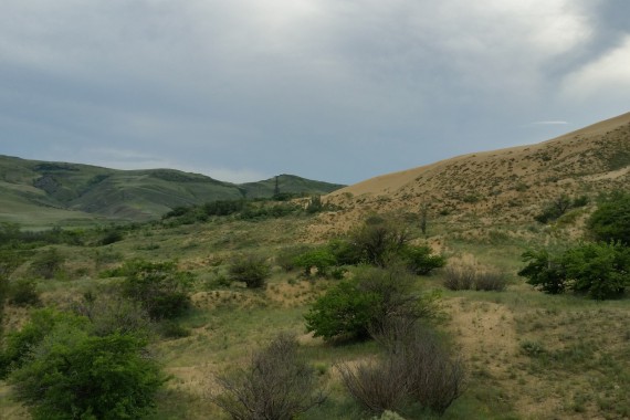 Фотография Заповедник «Дагестанский» 8