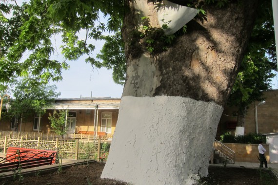 Фотография Джума-мечеть 3