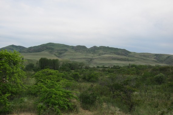 Фотография Заповедник «Дагестанский» 3