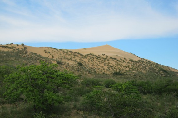 Фотография Заповедник «Дагестанский» 0
