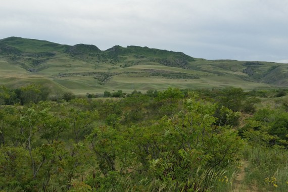 Фотография Заповедник «Дагестанский» 9