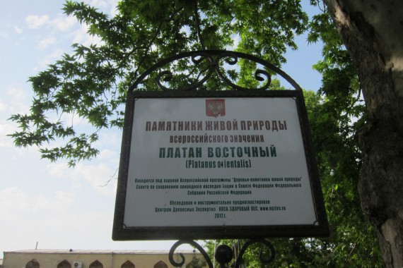 Фотография Джума-мечеть 6