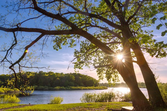 Фотография ГРК «Ранчо» 10