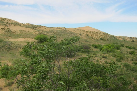 Фотография Заповедник «Дагестанский» 4