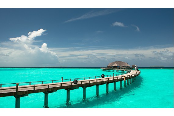 Фотография The Sun Siyam Iru Fushi 11