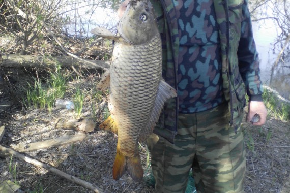 Фотография Рыболовно-охотничья база «Хищник» 1