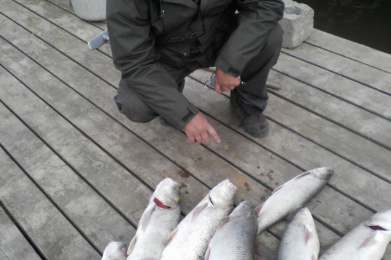 Фотография Рыболовно-охотничья база «Хищник» 7